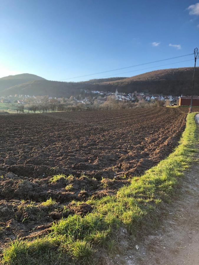 Gite L'Instant Durable Oberbronn Exteriör bild