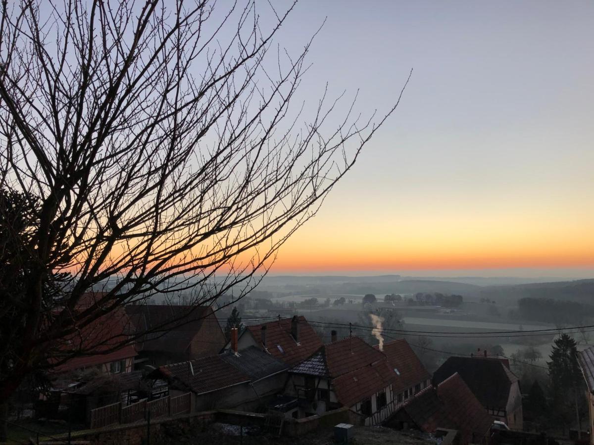 Gite L'Instant Durable Oberbronn Exteriör bild