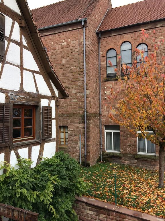Gite L'Instant Durable Oberbronn Exteriör bild