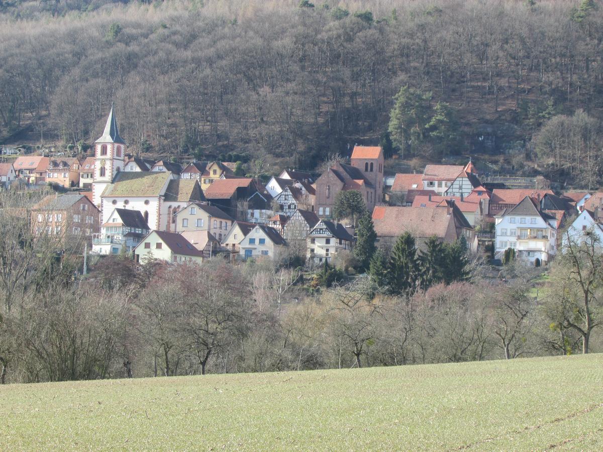 Gite L'Instant Durable Oberbronn Exteriör bild